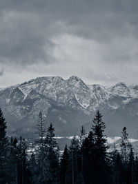 Tatry mountains, winter mountains in poland, zakopane.