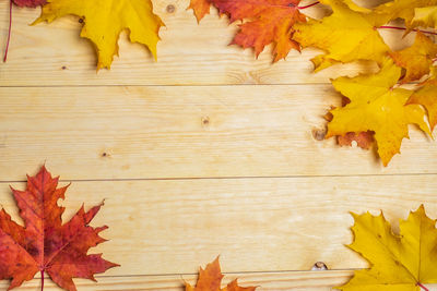 High angle view of maple leaves on table