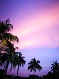 Silhouette palm trees against sky during sunset
