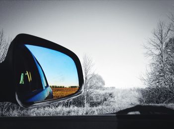Reflection of trees in side-view mirror