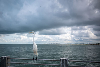Bird perching on wooden post in sea against sky