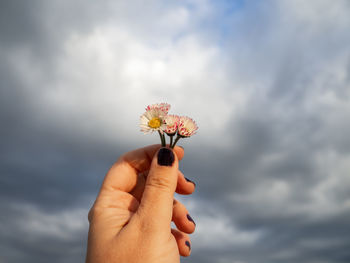 Close-up of hand holding red flowering plant against cloudy sky