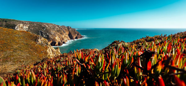Scenic view of sea against clear blue sky