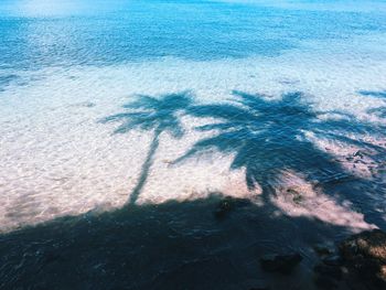 High angle view of beach