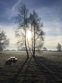 Scenic view of tree against sky