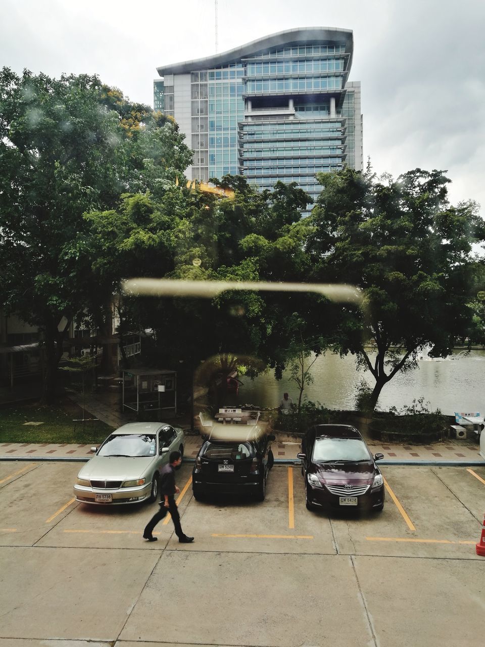 CARS ON CITY STREET AGAINST TREES IN BACKGROUND