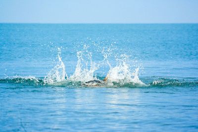 Water splashing in swimming pool against sky