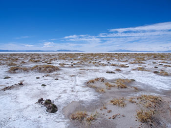 Scenic view of beach against blue sky