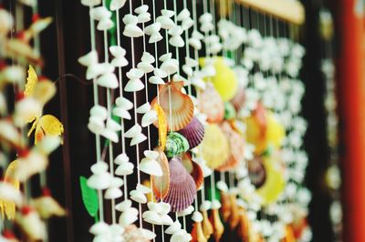 Close-up of flowers hanging in store for sale