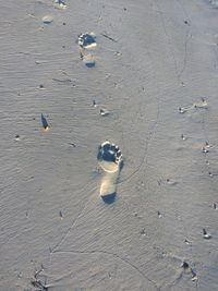 High angle view of footprints on wet sand
