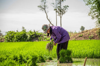 Full length of woman working in farm