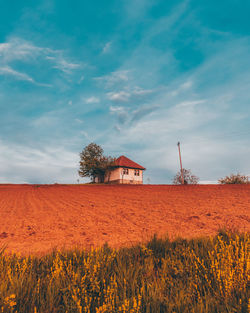 Scenic view of agricultural field against sky