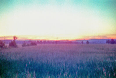 Scenic view of field against sky during sunset