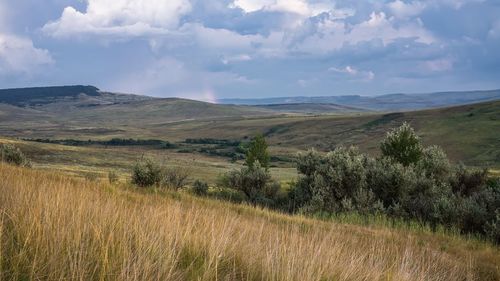 Scenic view of landscape against sky