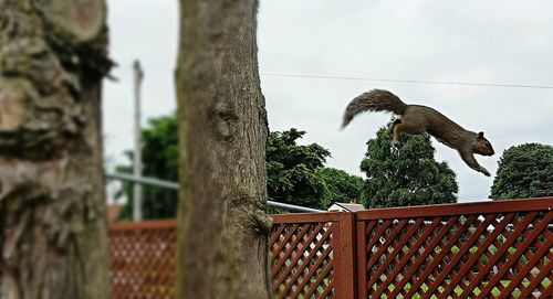 Low angle view of bird perching on sculpture against sky