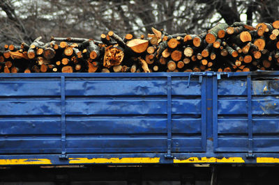 Wooden logs on logging truck trailer in the forest