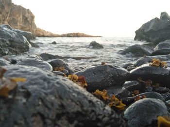 Close-up of rocks in sea against clear sky