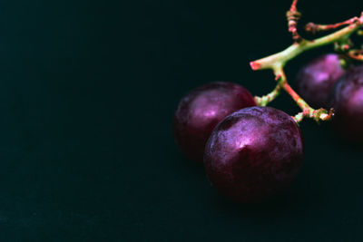 Close-up of berries over black background