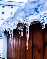 Close-up of icicles