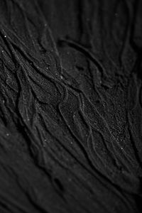 Full frame shot of wood