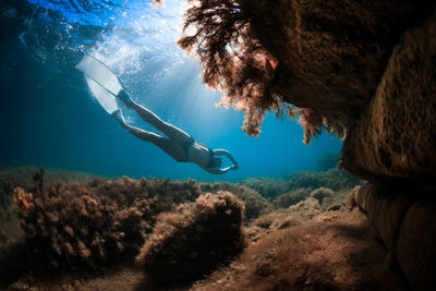 Man swimming in sea