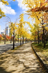 People walking on street in park during autumn