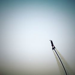 Low angle view of bird perching against clear sky