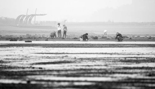 People walking on field against sky
