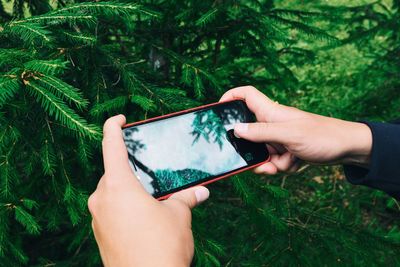 Cropped image of hand holding mobile phone