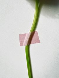 Close-up of hand holding paper against wall