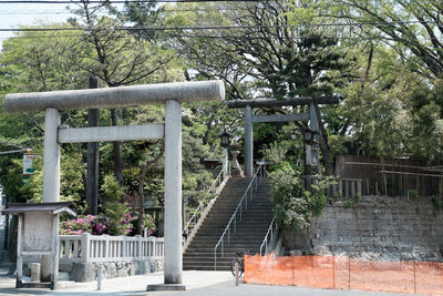 Trees in park