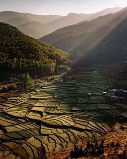 Scenic view of agricultural landscape