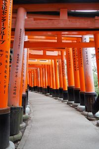 Row of temple