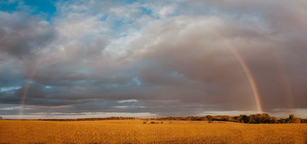 Scenic view of field against rainbow in sky