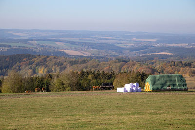 Scenic view of field against sky