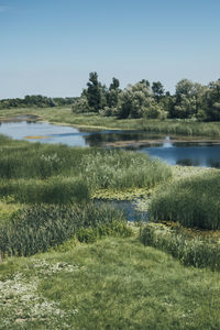 Scenic view of lake against clear sky