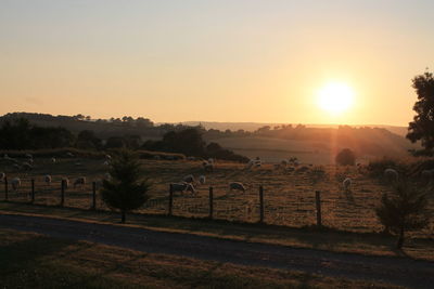 Scenic view of field against sky during sunset