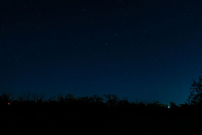Low angle view of silhouette trees against sky at night