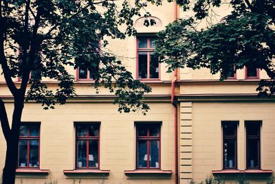 Low angle view of tree against building