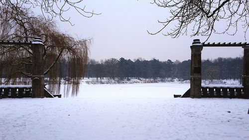 Bare trees on snow covered field