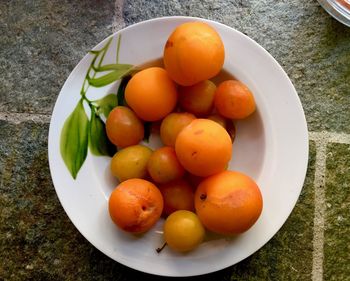 High angle view of oranges in bowl on table