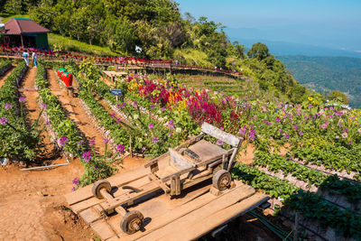 Scenic view of flowering plants by trees against sky