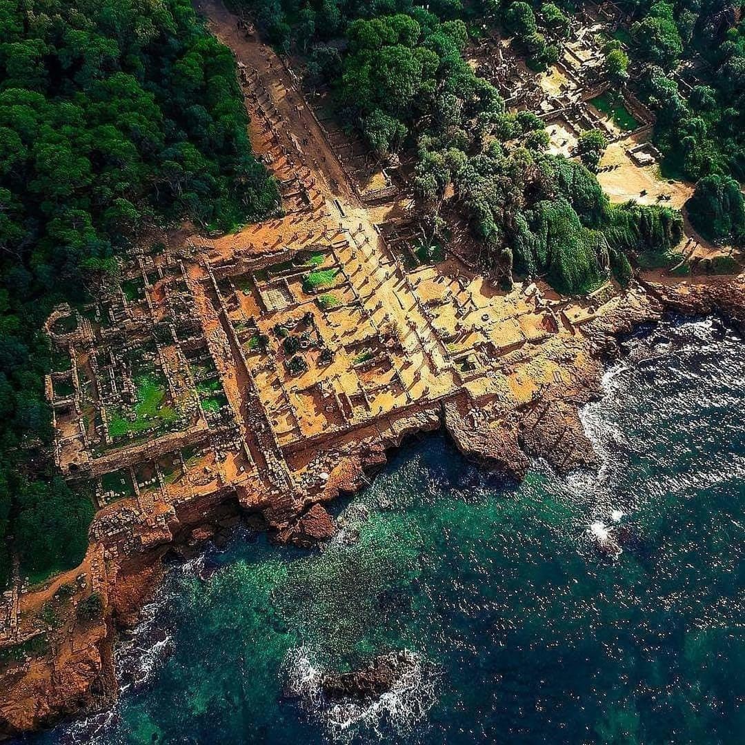 high angle view, water, plant, nature, day, architecture, no people, tree, built structure, green color, history, travel destinations, the past, land, outdoors, tranquility, beauty in nature, old ruin, old, ruined, ancient civilization, archaeology