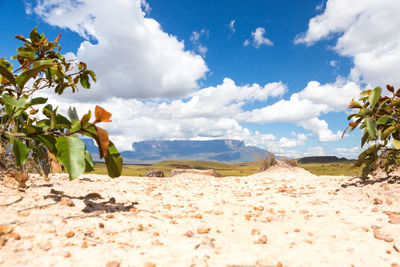 Scenic view of beach against sky