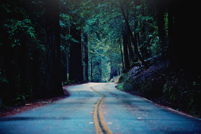 Empty road passing through forest