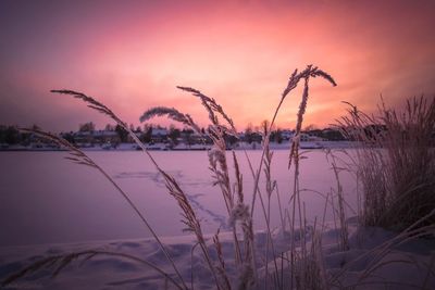 Scenic view of lake against romantic sky at sunset