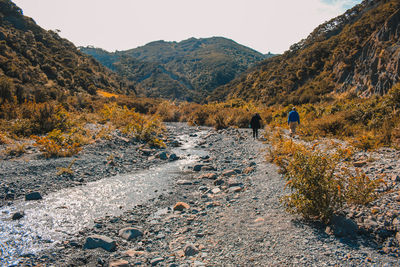 Rear view of people walking by river in forest against sky