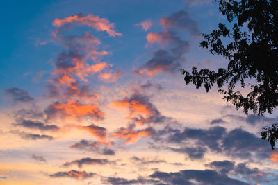 Low angle view of silhouette trees against dramatic sky