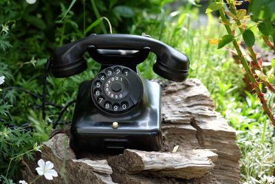 Close-up of telephone on wood against plants