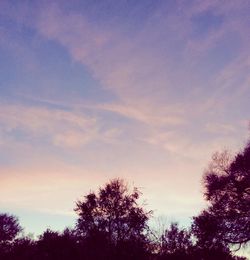 Low angle view of silhouette trees against sky